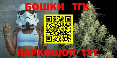 скорость Гатчина